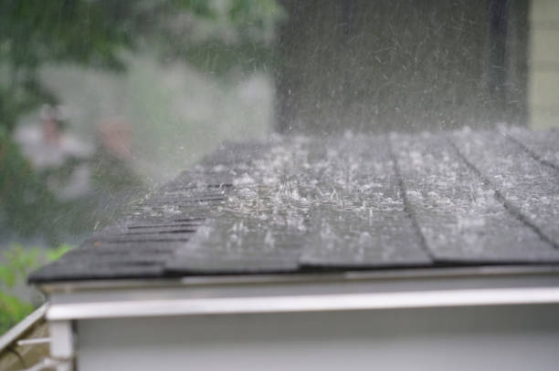 Best Asphalt Shingle Roofing  in Troy, MI