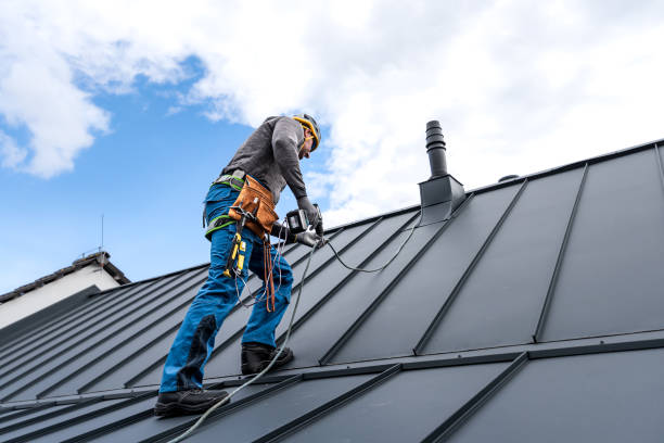 Best Steel Roofing  in Troy, MI